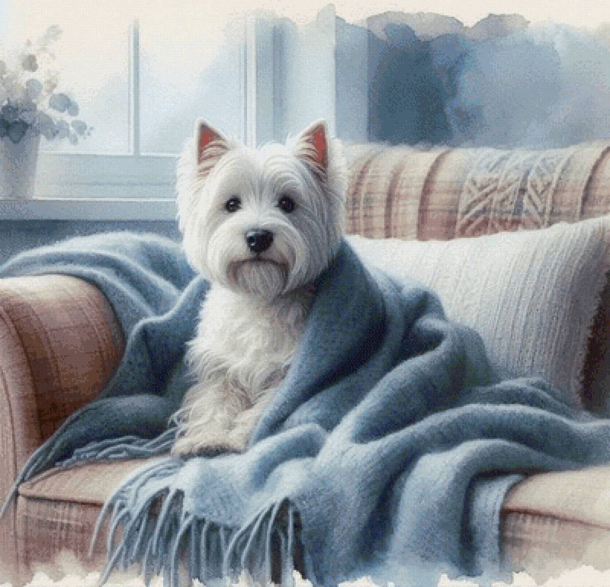 Вестик в пледе 2 - собака - предпросмотр