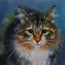 Схема вышивки «Котик. Екатерина Рязанова»