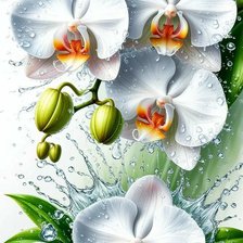 Схема вышивки «№2922215»