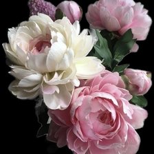 Схема вышивки «Roses»