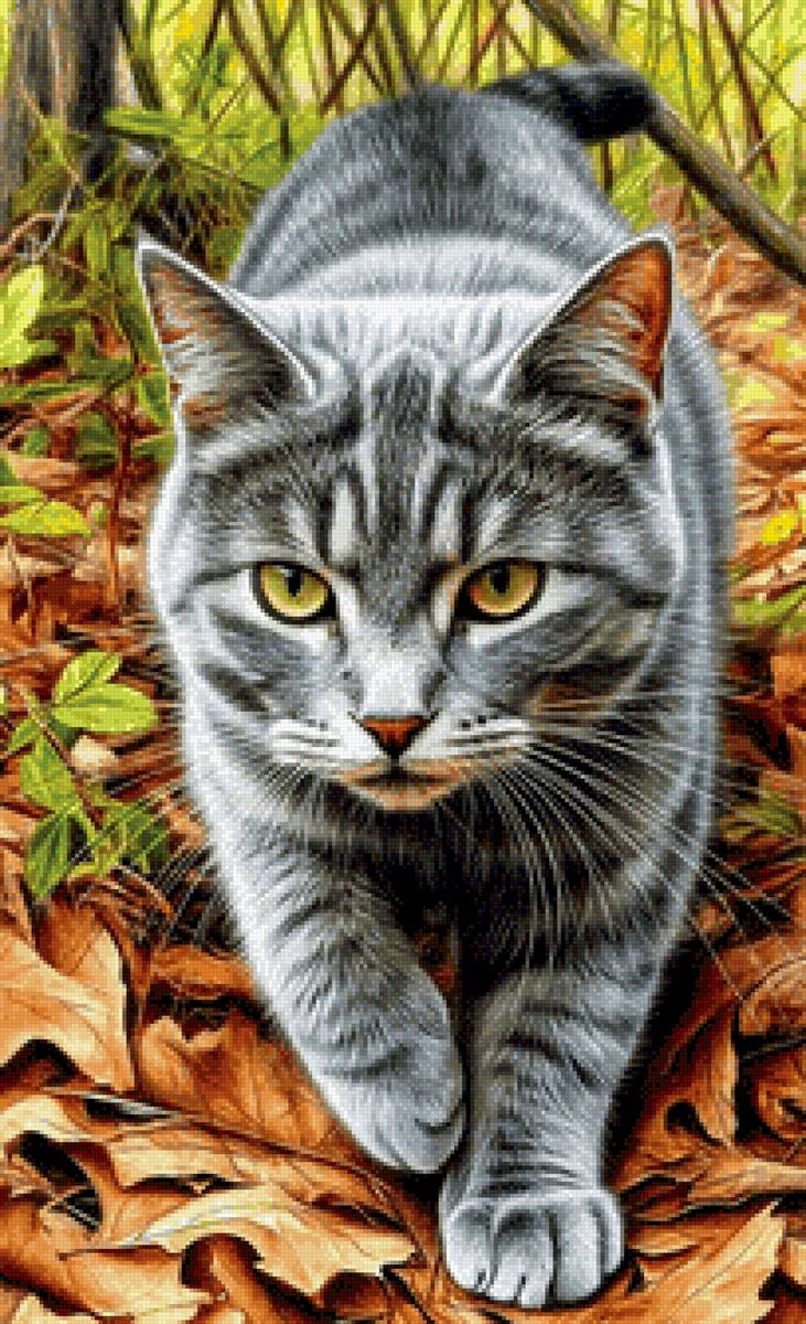 На прогулке - листья, домашние животные, кот, осень - предпросмотр