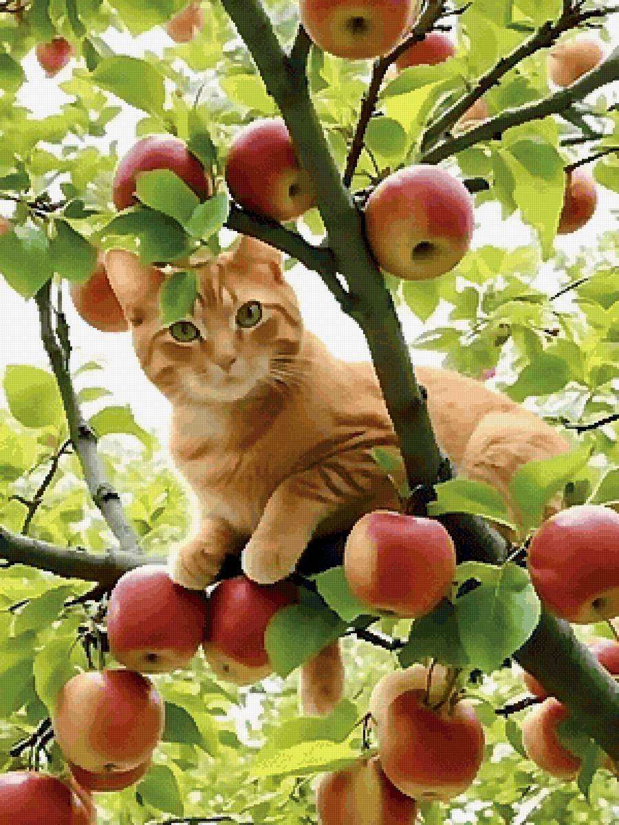 Собираю урожай - кот, осень, сад - предпросмотр