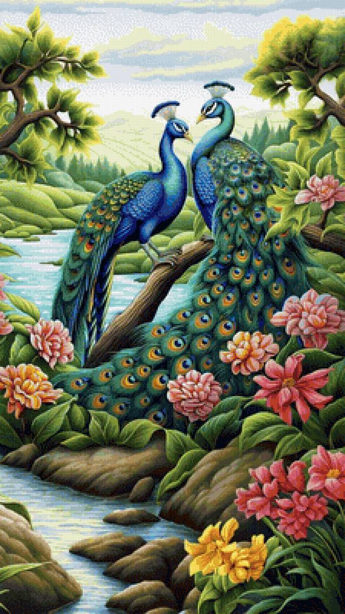 Павлины - предпросмотр