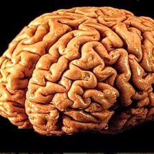 Схема вышивки «Рисунок»