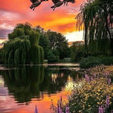 Схема вышивки «№2923229»