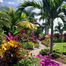 Схема вышивки «Пальмовая аллея»