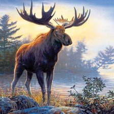 Схема вышивки «Лось»