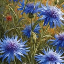 Схема вышивки «Васильки»