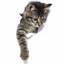 Схема вышивки «№2924562»