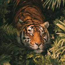 Схема вышивки «Тигр спит»