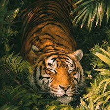 Схема вышивки «Тигр»