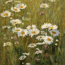 Схема вышивки «Ромашки. Мэри Дипнолл»