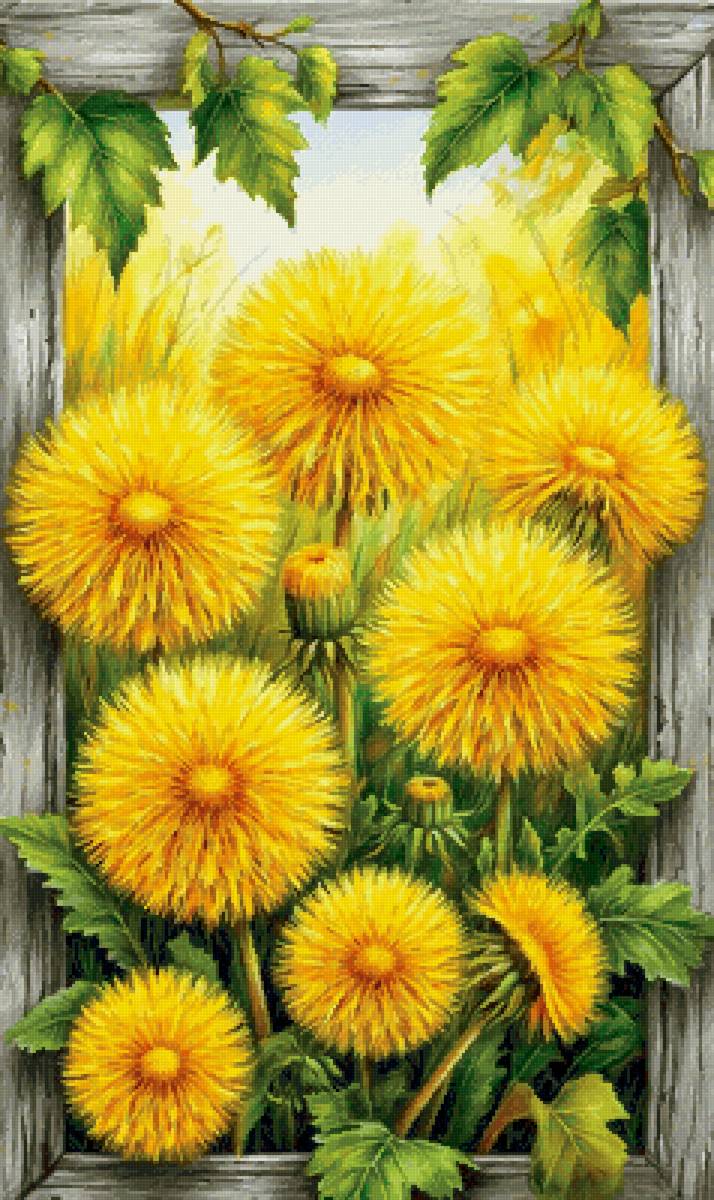 Одуванчики - предпросмотр