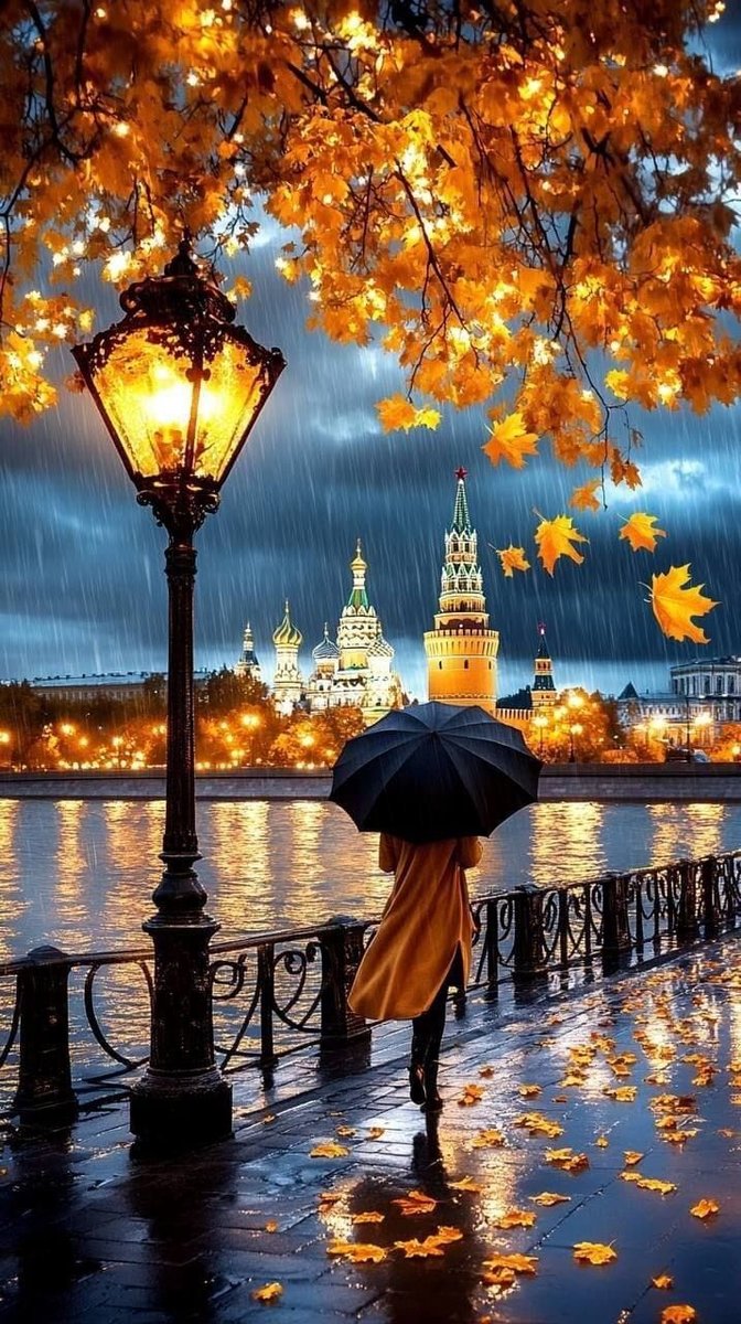 Осень ночью - под зонтом, осень, дождь, ночь - оригинал