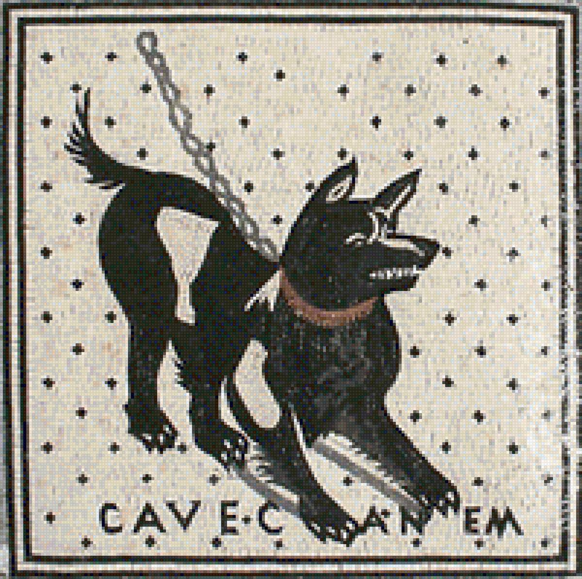 Cave Canem - предпросмотр