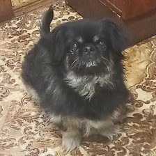 Схема вышивки «Чита»