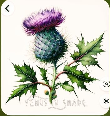 Репей - чертополох - оригинал