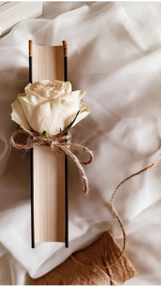 Роза и книга - книга, роза - оригинал