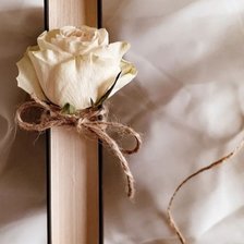 Схема вышивки «Роза и книга»