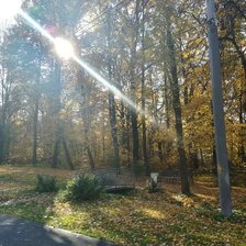 Схема вышивки «осень в парке»