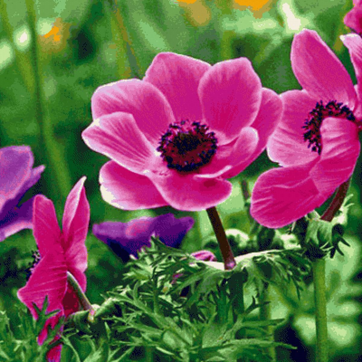 №2928299 - предпросмотр