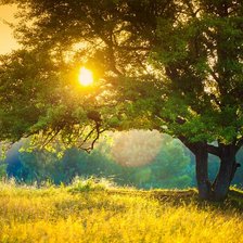 Схема вышивки «№2928393»