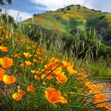 Схема вышивки «№2928396»