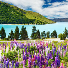 Схема вышивки «№2928785»