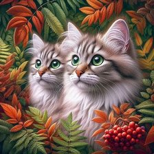 Схема вышивки «кошки»