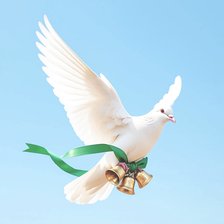 Схема вышивки «Голубь с колоколами 2.0»