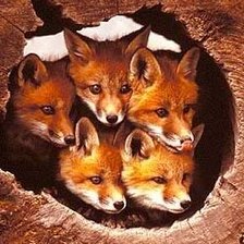 Схема вышивки «№2932929»