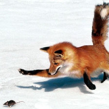 Схема вышивки «№2932968»