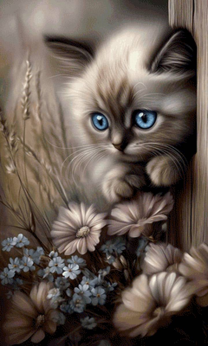 Милота - предпросмотр