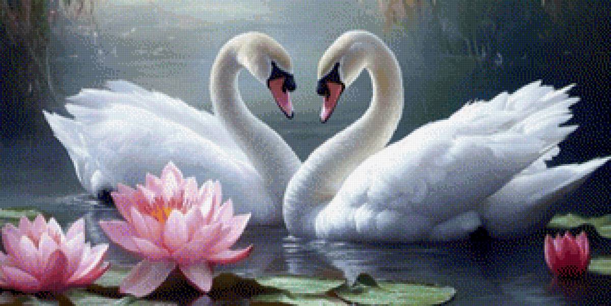 лебединая верность - предпросмотр