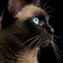 СЕМЕН СЕМЕНЫЧ