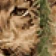 Предпросмотр схемы вышивки «Снежные барсы» (№2934238)