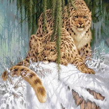 Схема вышивки «Снежные барсы»