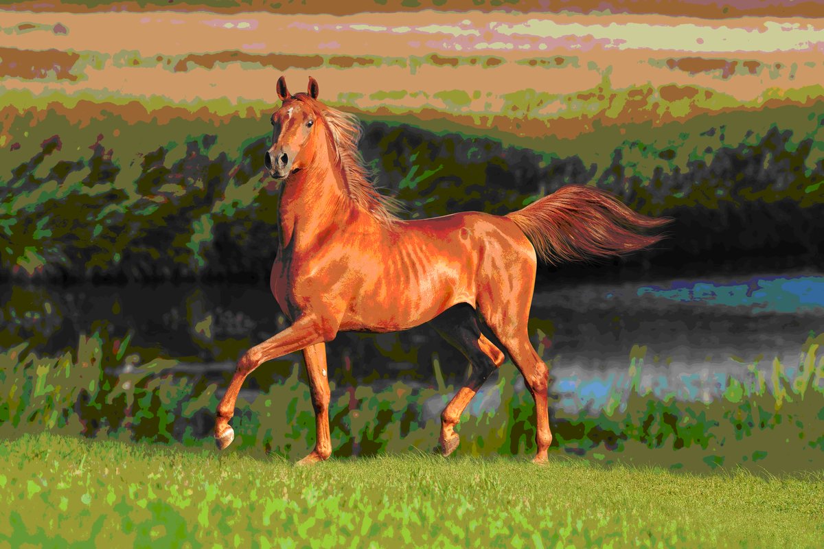 КРАСНАЯ ЛОШАДЬ - природа, символ года, лошадь - оригинал