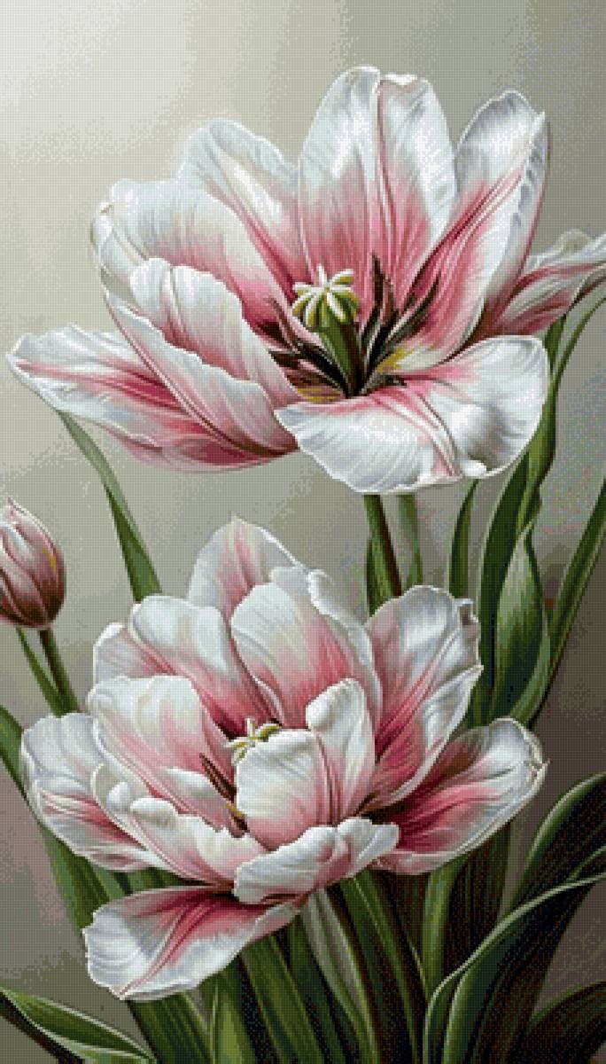 цветы - предпросмотр