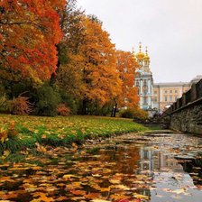 Схема вышивки «Осень🍁🍂»