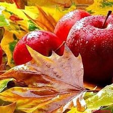 Схема вышивки «Яблоки🍎»