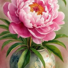 Схема вышивки «Розовые пионы»