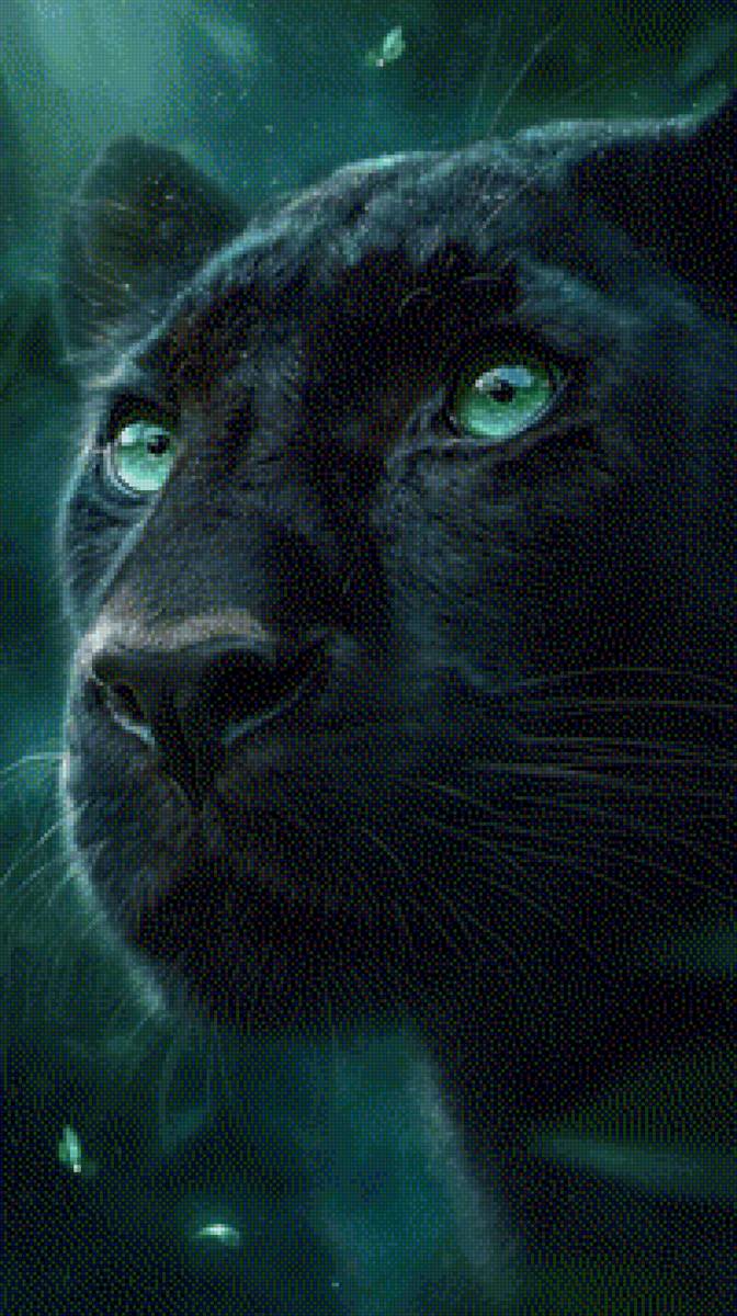 Пантера - предпросмотр