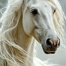 Схема вышивки «Жемчужина»