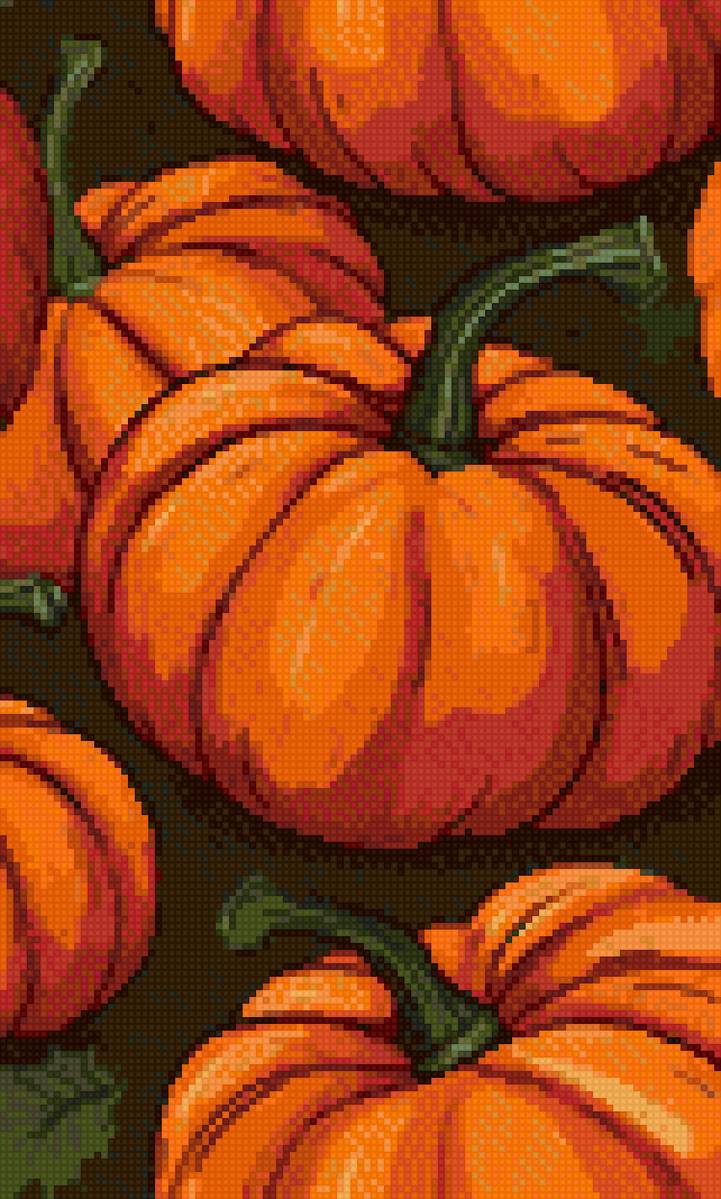 Тыквы - предпросмотр