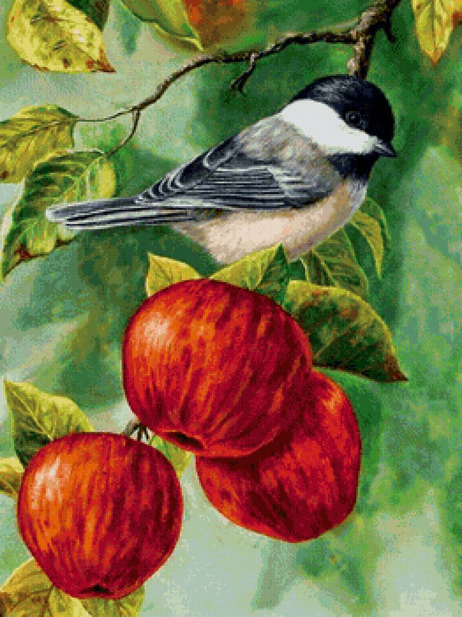 Синичка в саду - предпросмотр