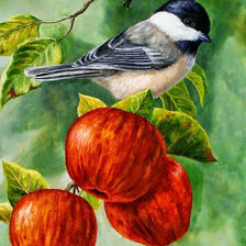 Схема вышивки «Синичка в саду»