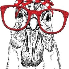 Схема вышивки «Курочка-красавица»