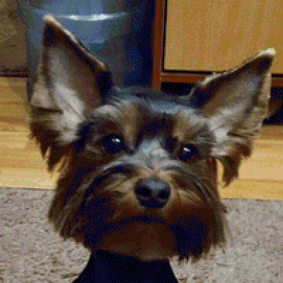 лаки - лучшая собачка - предпросмотр