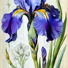 Схема вышивки «№2939742»